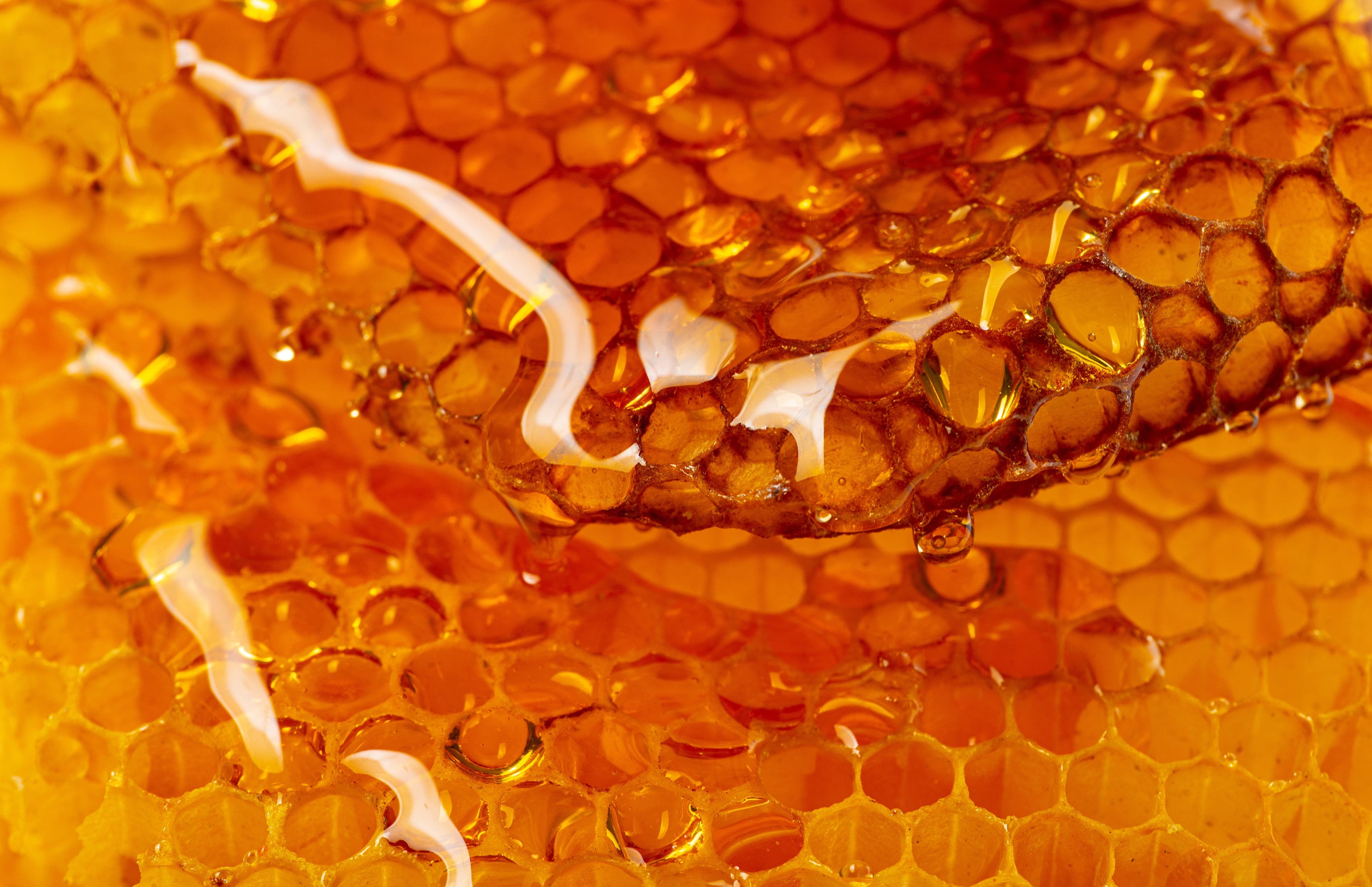 Honey