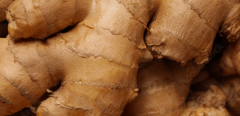 Ginger