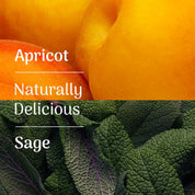 Veloforte Electrolyte Powders Solo Electrolyte Powder