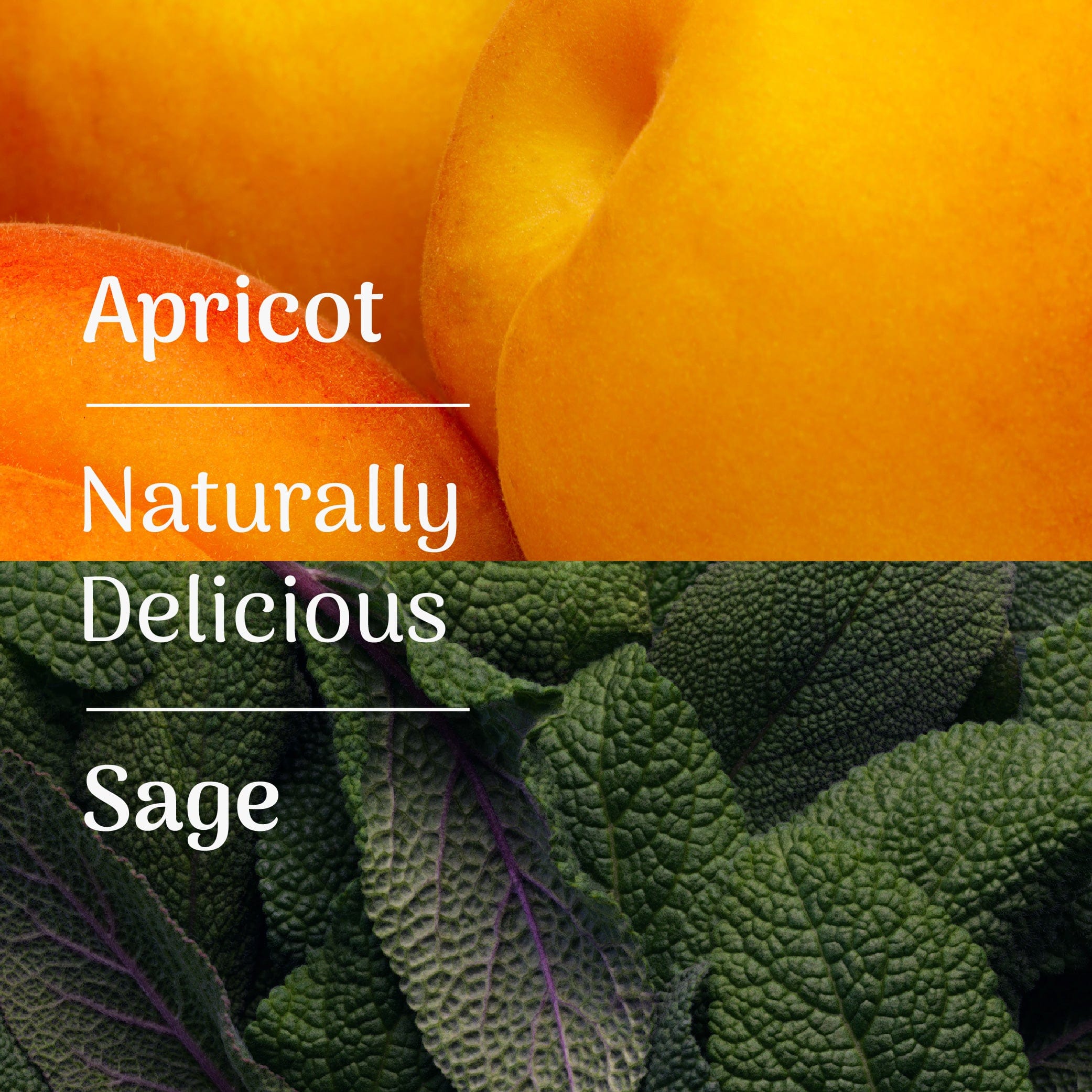 Veloforte Electrolyte Powders Solo Electrolyte Powder