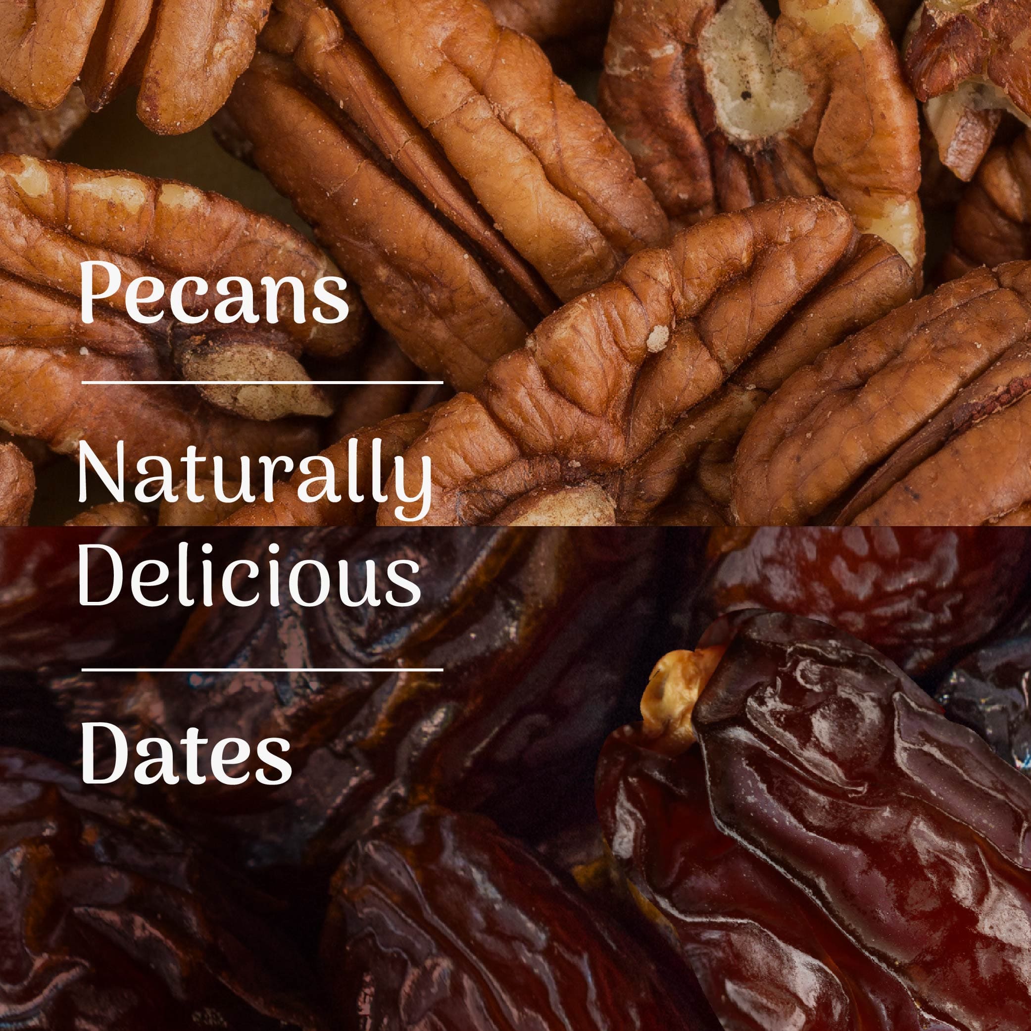 Veloforte Energy Bars Avanti Energy Bar