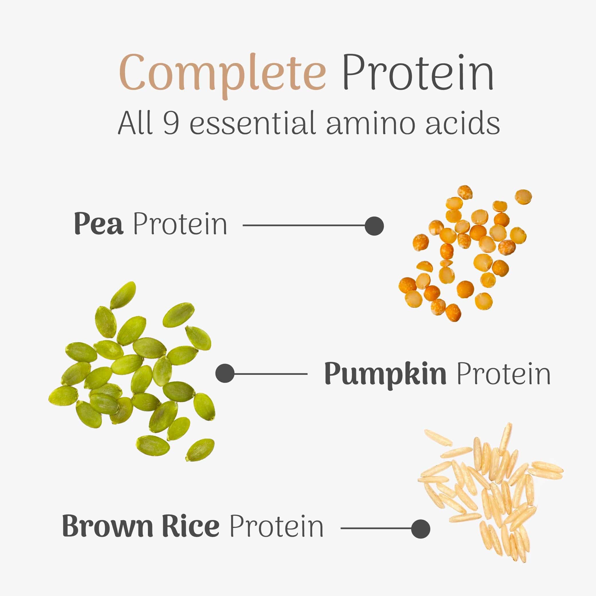 Veloforte High Protein Powders Molto High Protein Powder