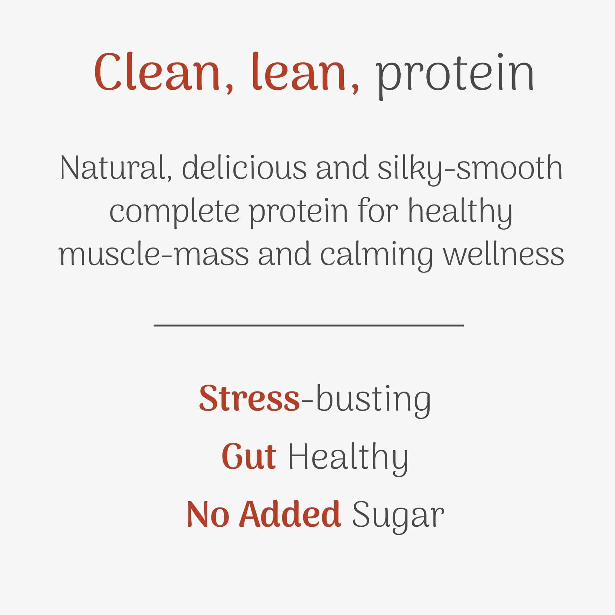 Veloforte High Protein Powders Molto High Protein Powder