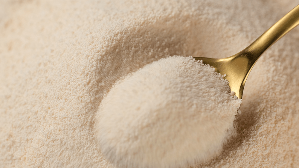 Type I & III Bovine Collagen