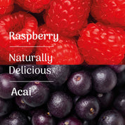 Veloforte Recovery Protein Powders Vita Recovery Protein Powder