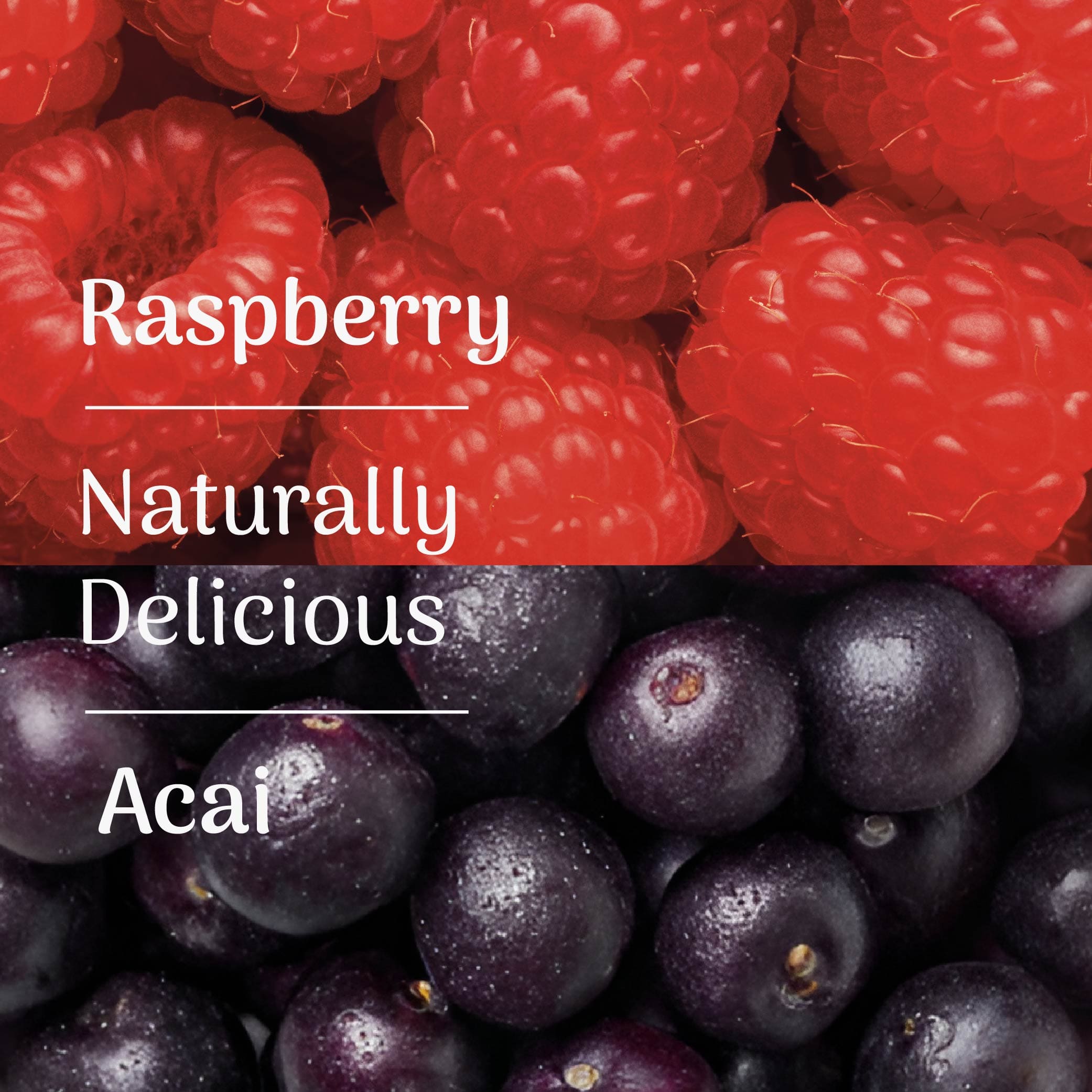 Veloforte Recovery Protein Powders Vita Recovery Protein Powder