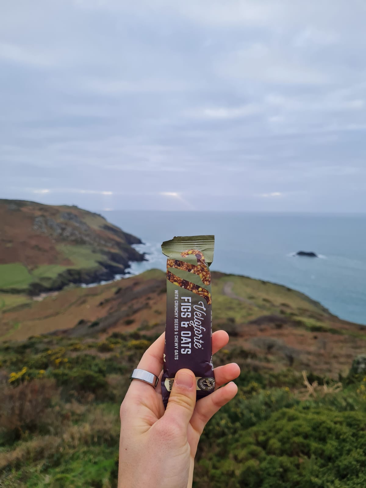 Image of Veloforte's Fig & Oat Snack Bar