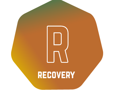 Recovery Nutrition EU