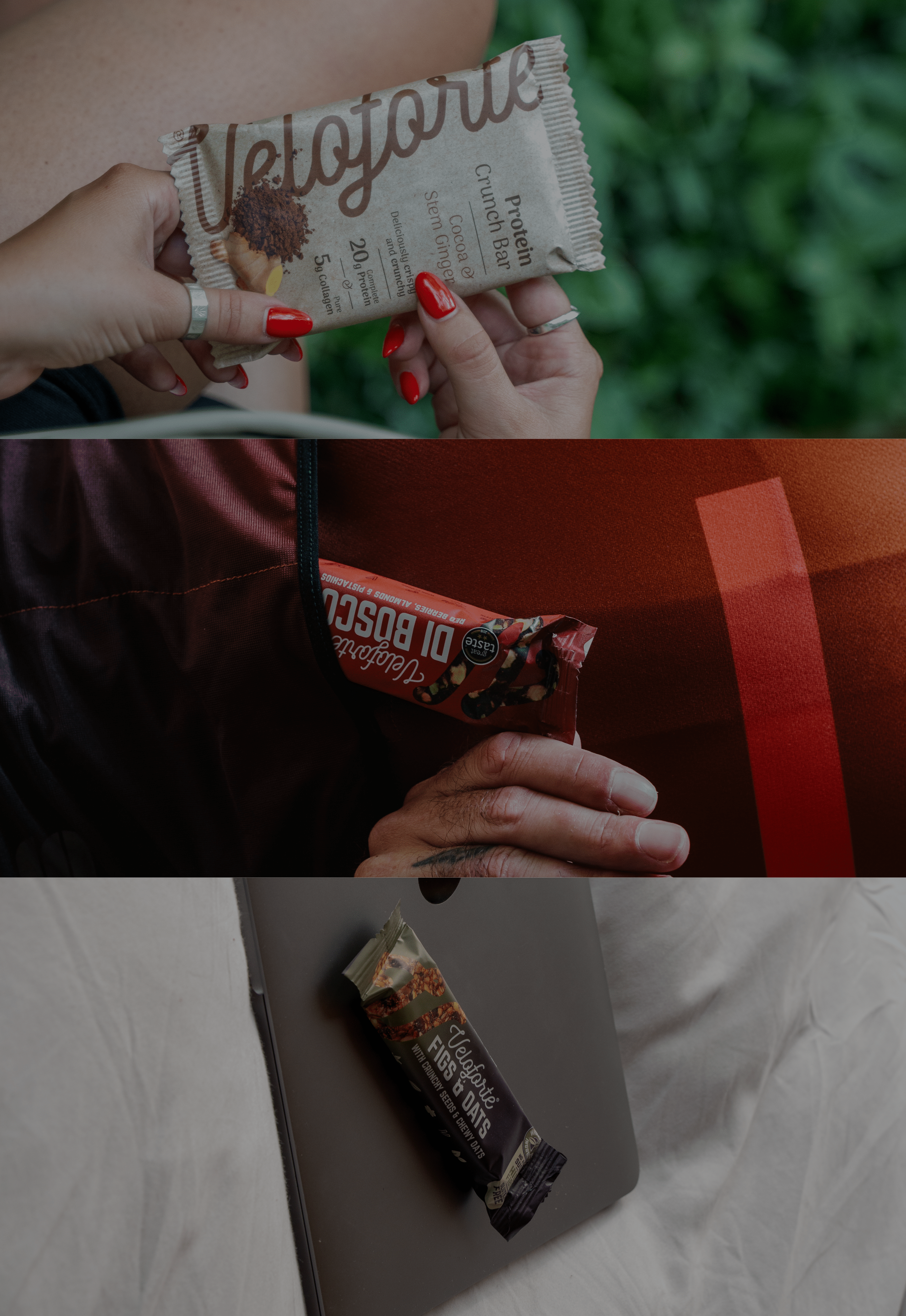 Banner_Bars_-_Quiz.png