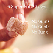 graphic explaining how there is no gums, no gunk and no junk in the ingredients