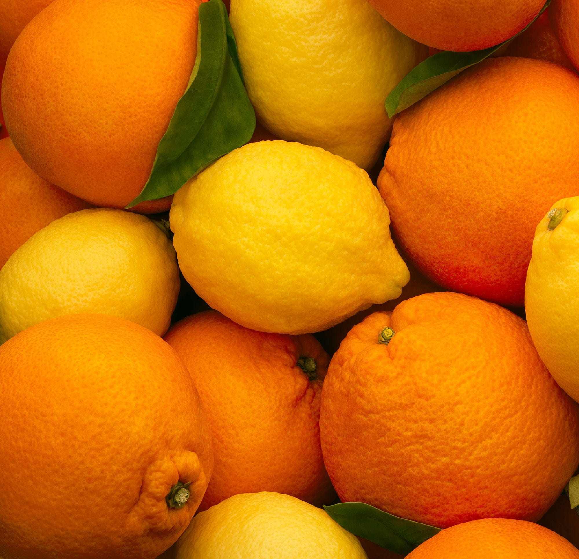 Oranges_Lemons.jpg