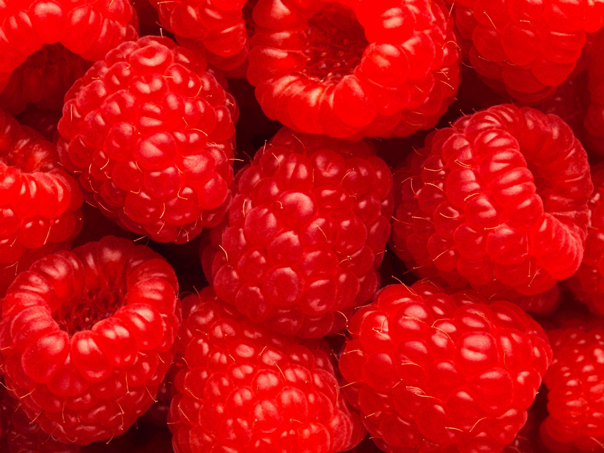 close up picture of raspberries