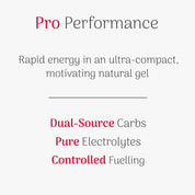Advertisement for Pro Performance natural gel with text about rapid energy, compactness, and ingredients.