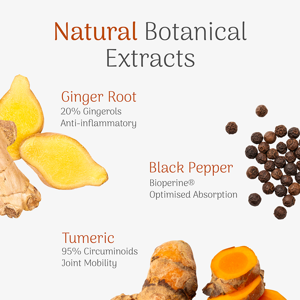 Ginger root, black pepper, and turmeric with text on natural botanical extracts on a white background.
