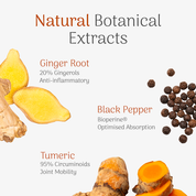 Ginger root, black pepper, and turmeric with text on natural botanical extracts on a white background.