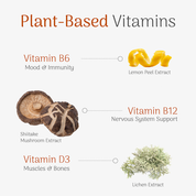 Illustration of plant-based vitamins with corresponding extracts on a white background