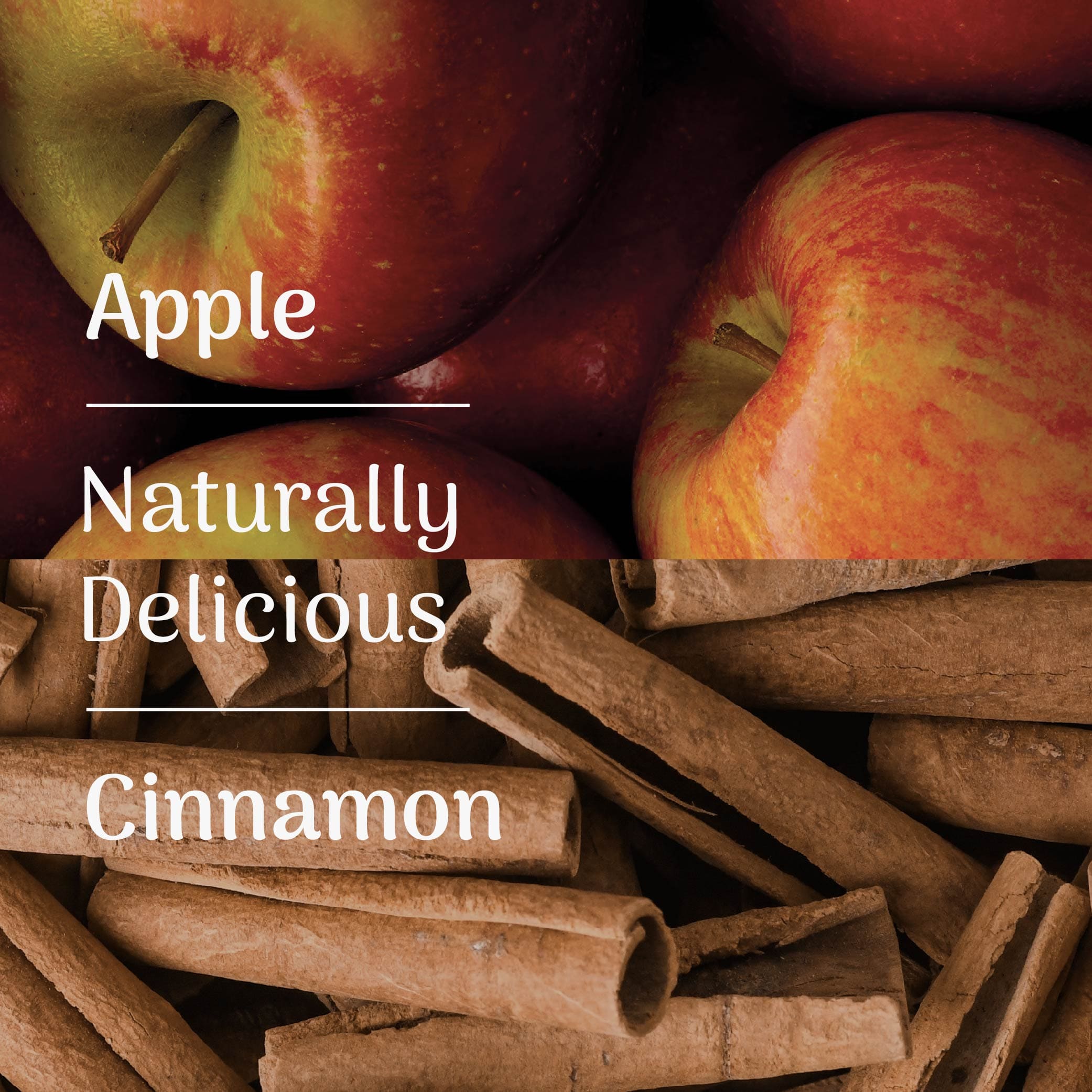 Apples and cinnamon sticks with text overlay on a dark background