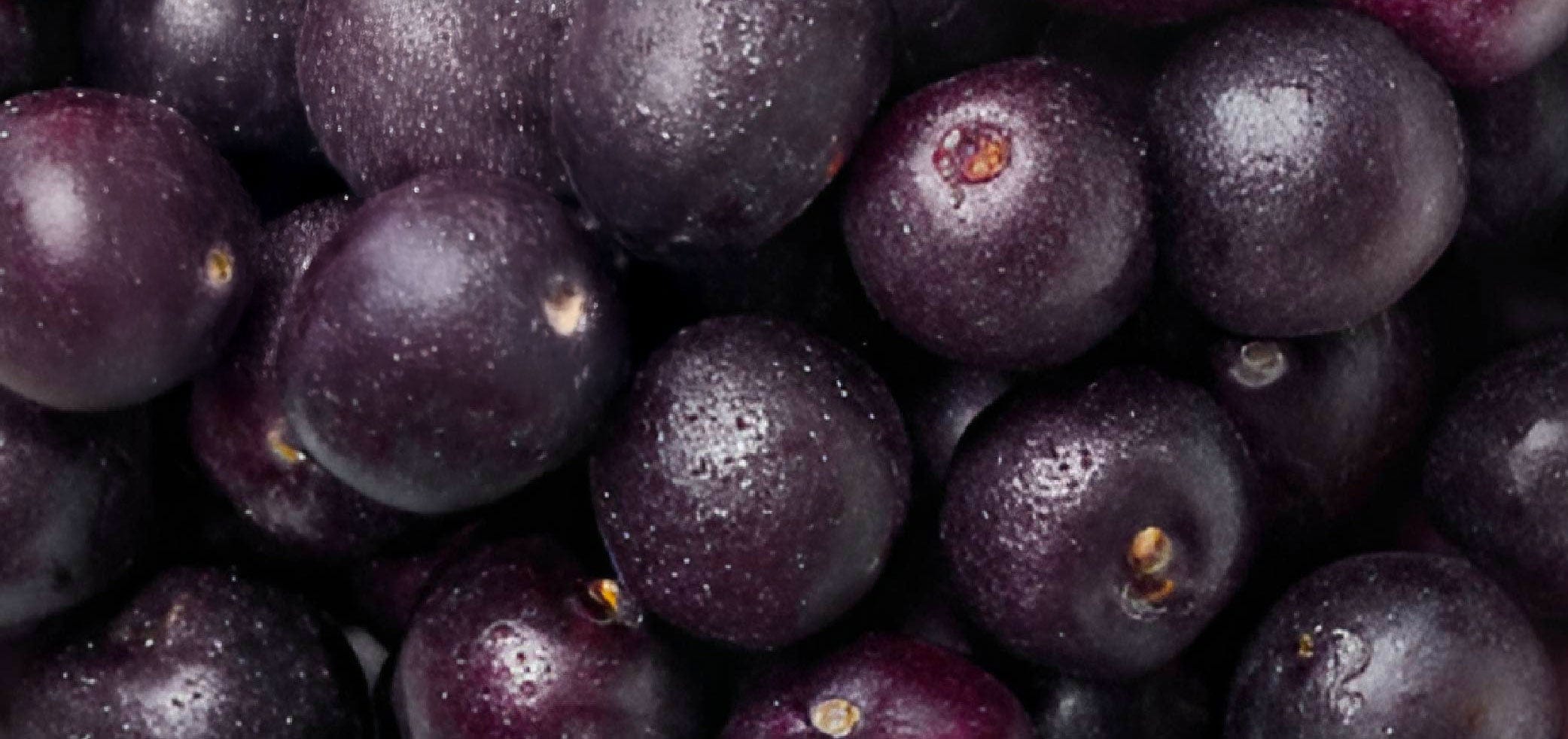 Acai