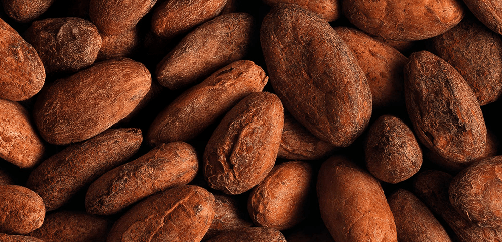 Cocoa