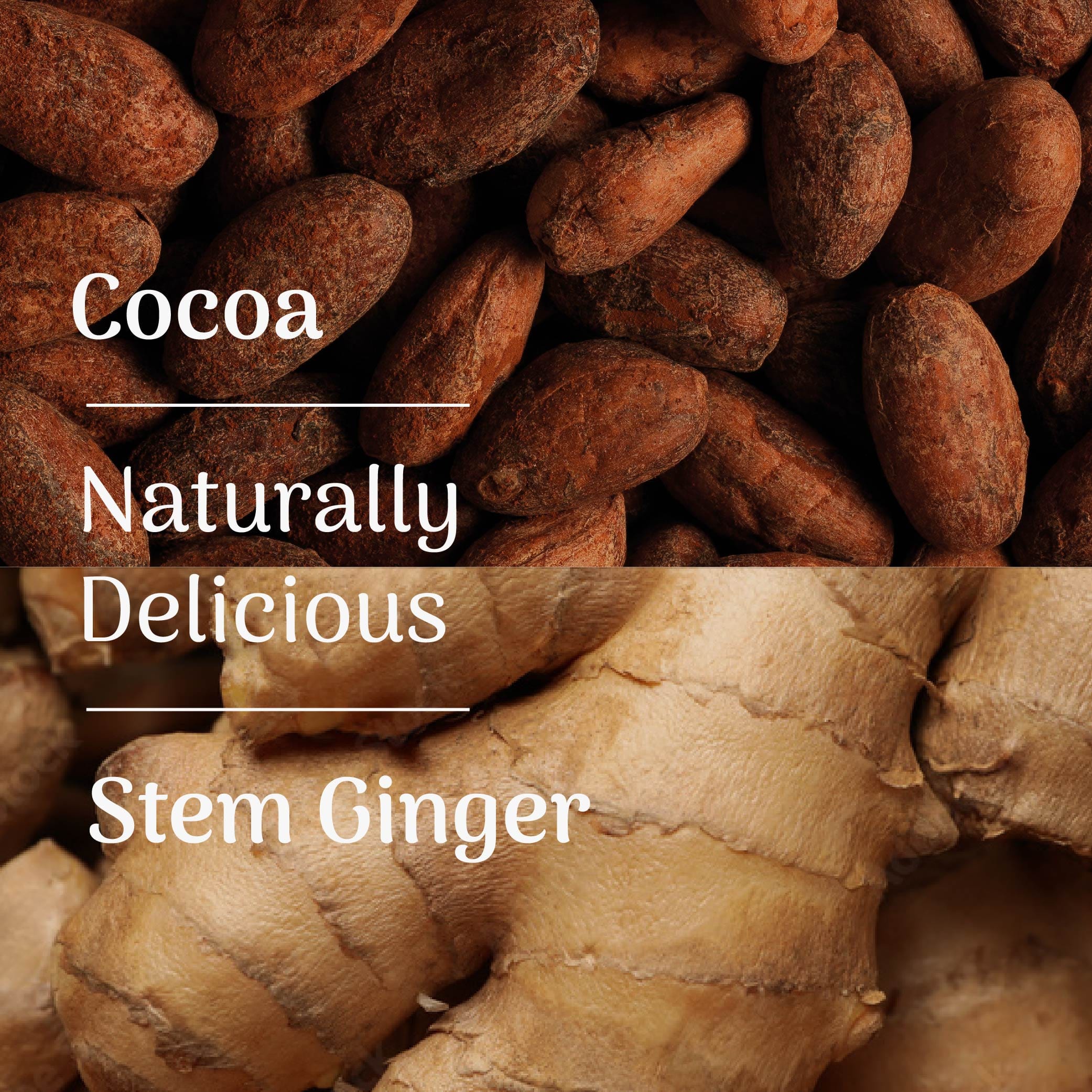 Cocoa beans and stem ginger with text overlay on a brown background