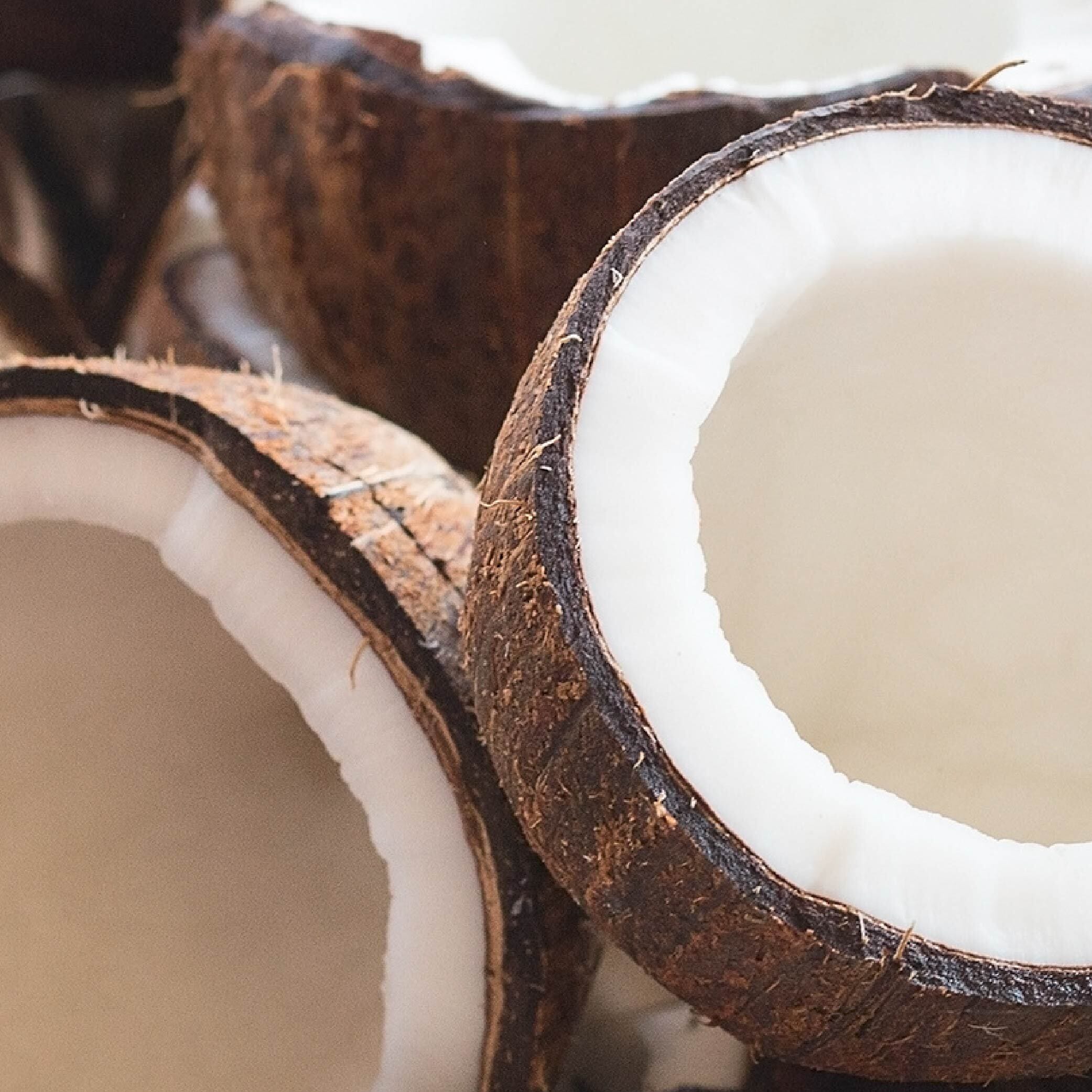 Coconut
