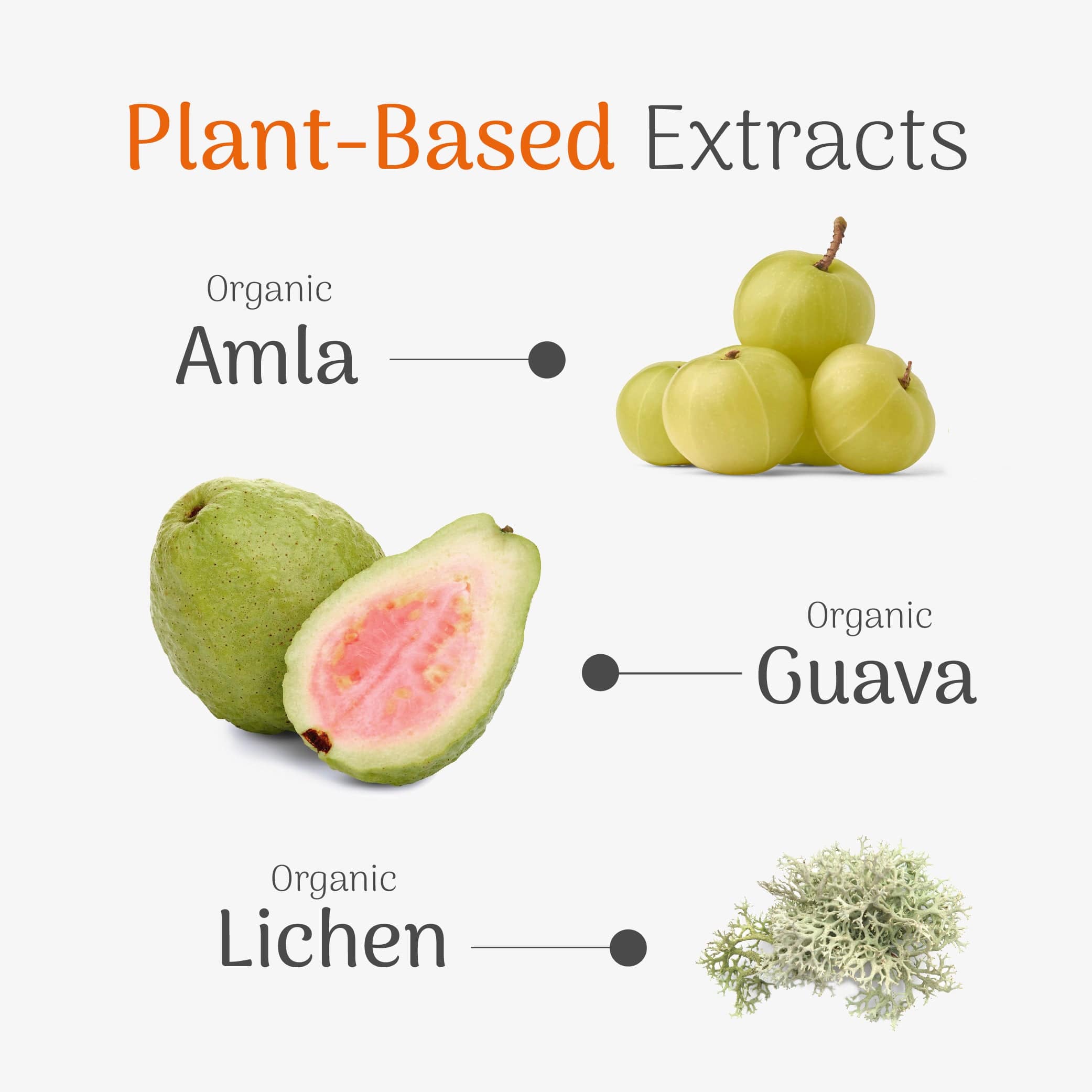 Veloforte Collagen Pro organic plant extracts for best collagen supplement support for healthy joints bones and cartilage