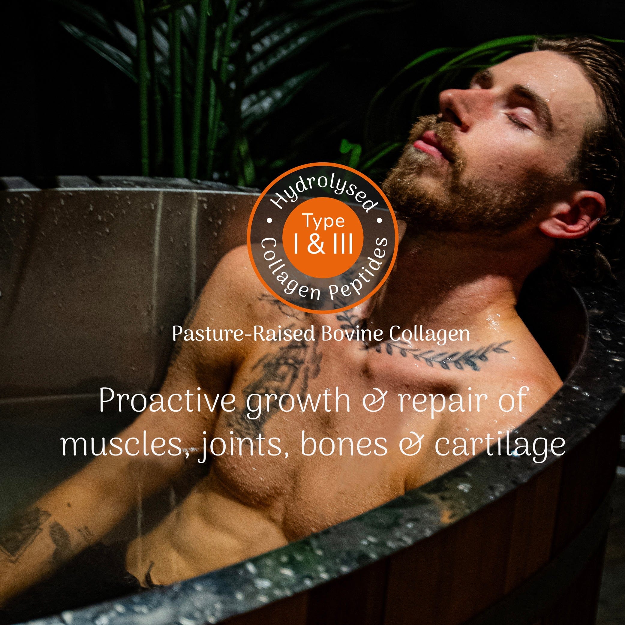 Picture of Veloforte Collagen Pro proactive growth and repair of muscles joints bones and cartilage