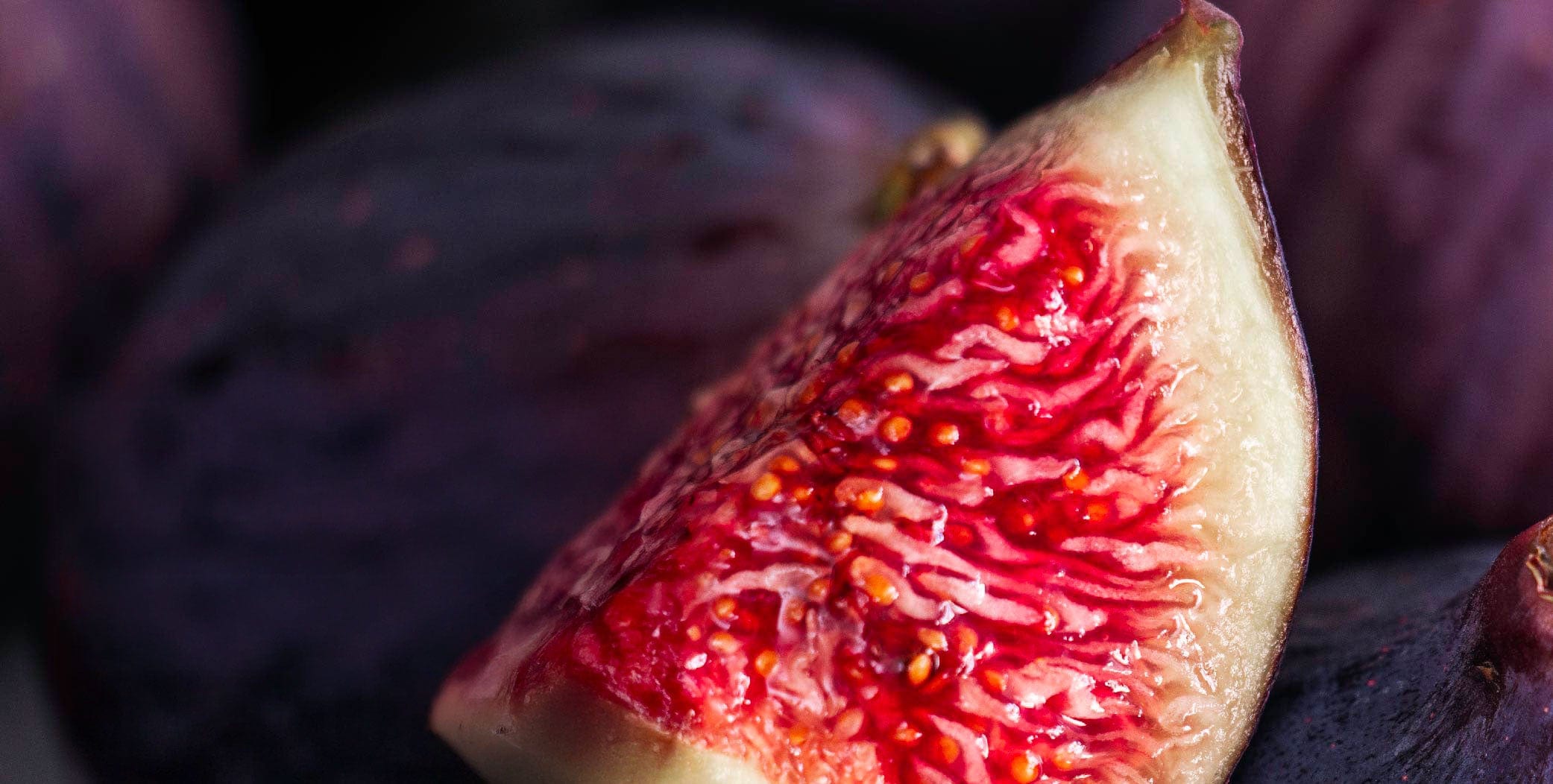 Fig