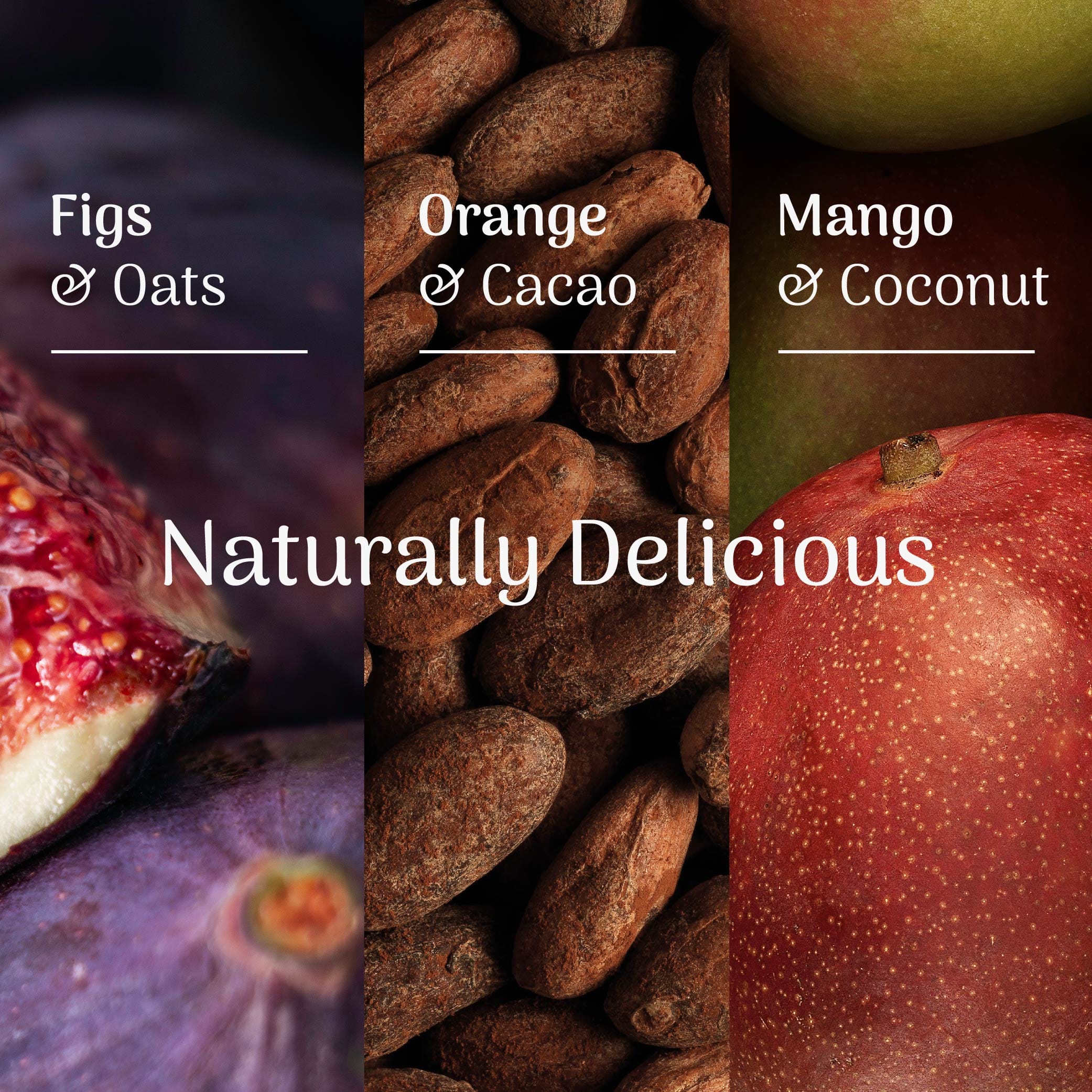 Veloforte oat snack bar flavour breakdown with fits, cocoa beans and mangos in the background