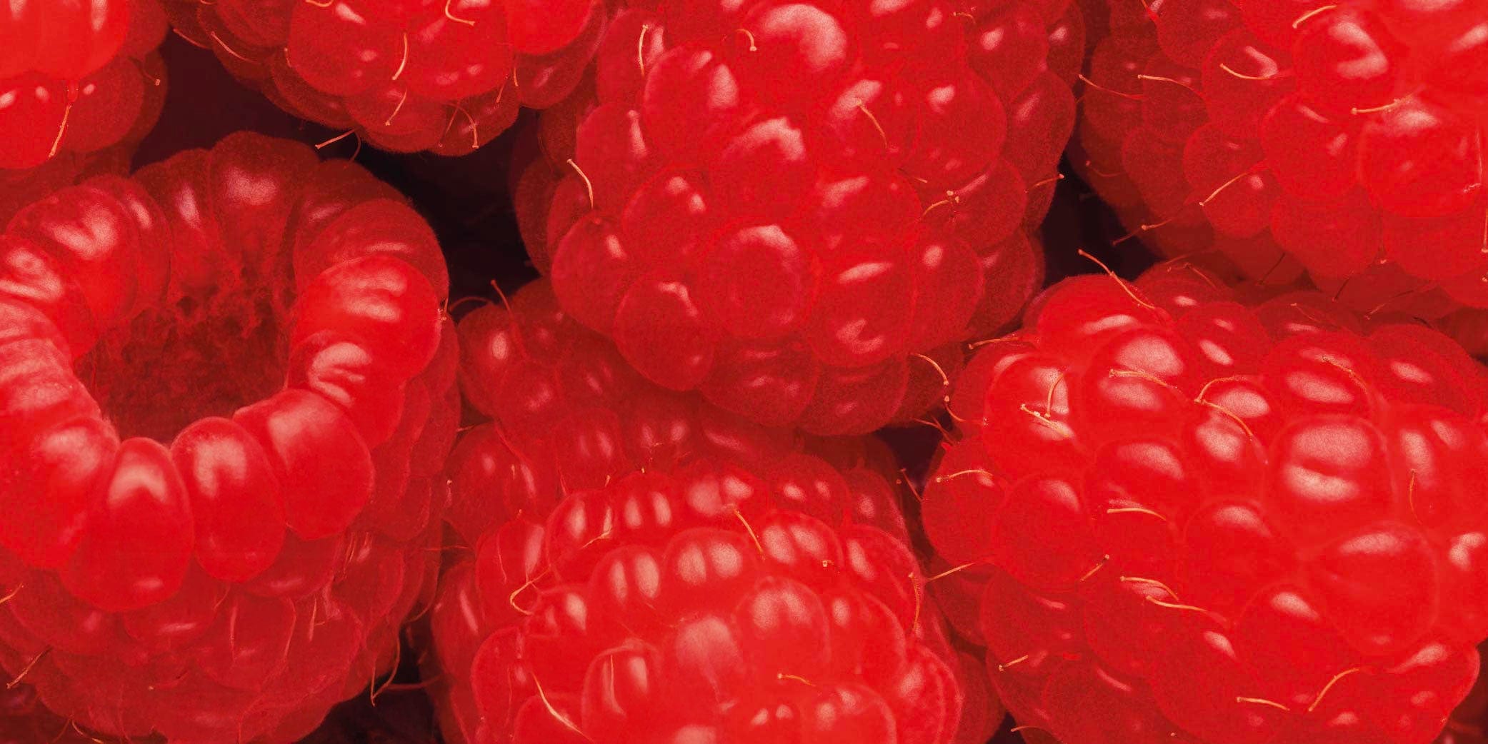 Raspberry
