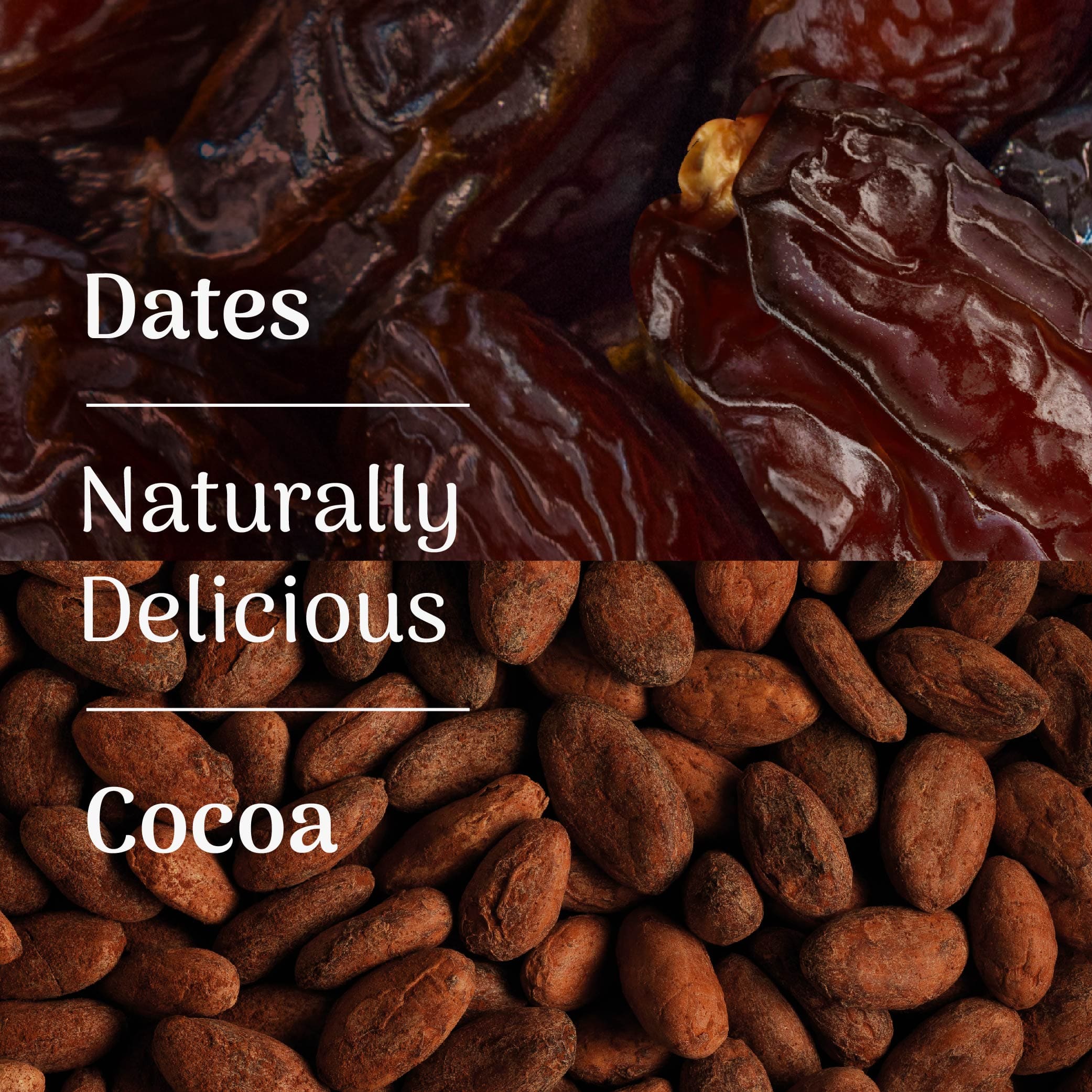 Veloforte Energy Bars Ciocco Energy Bar
