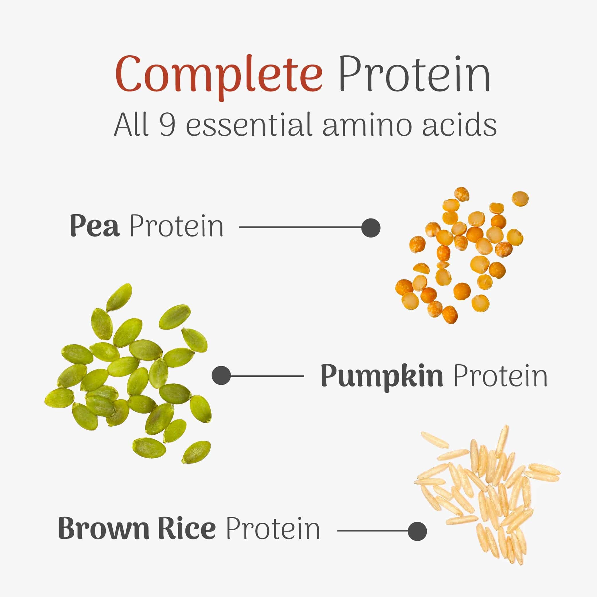Veloforte High Protein Powders Cappo High Protein Powder