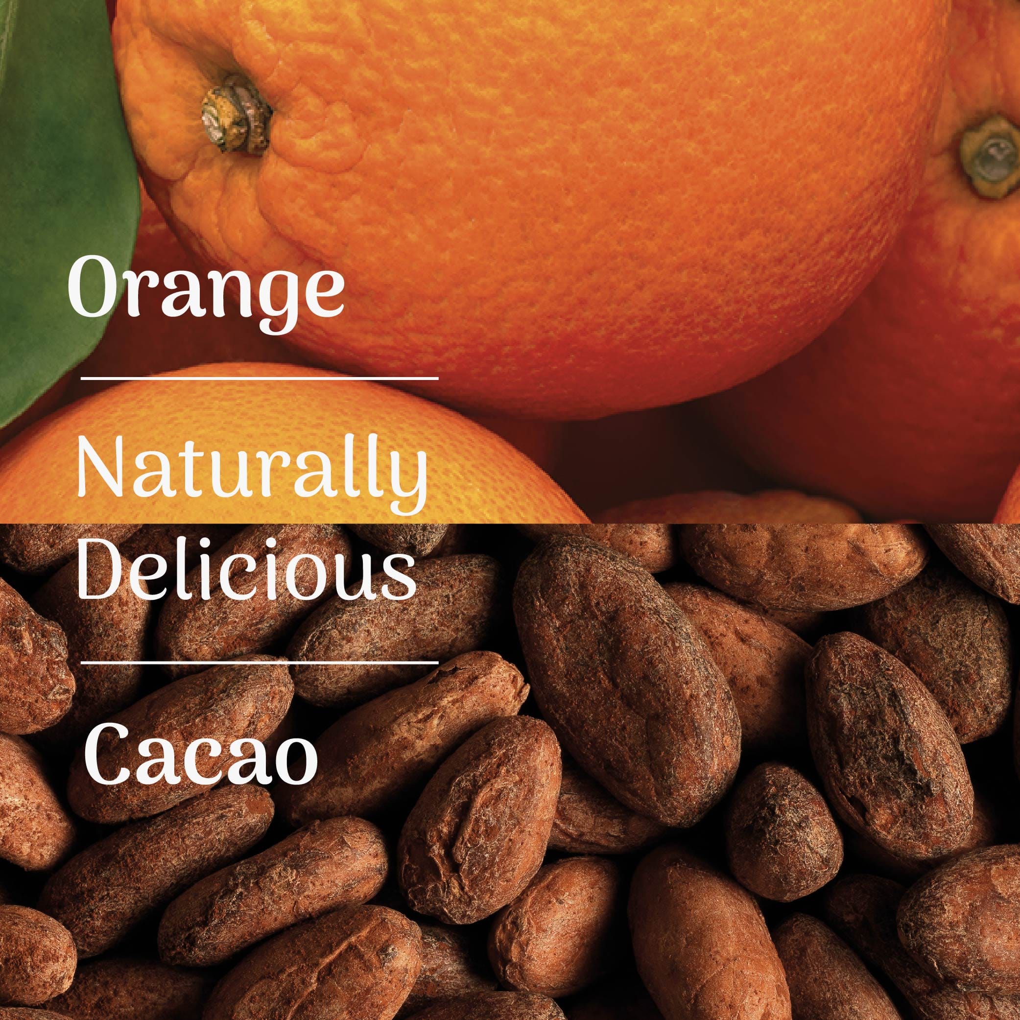 Veloforte Oat Snack Bars Orange & Cacao Oat Snack Bar