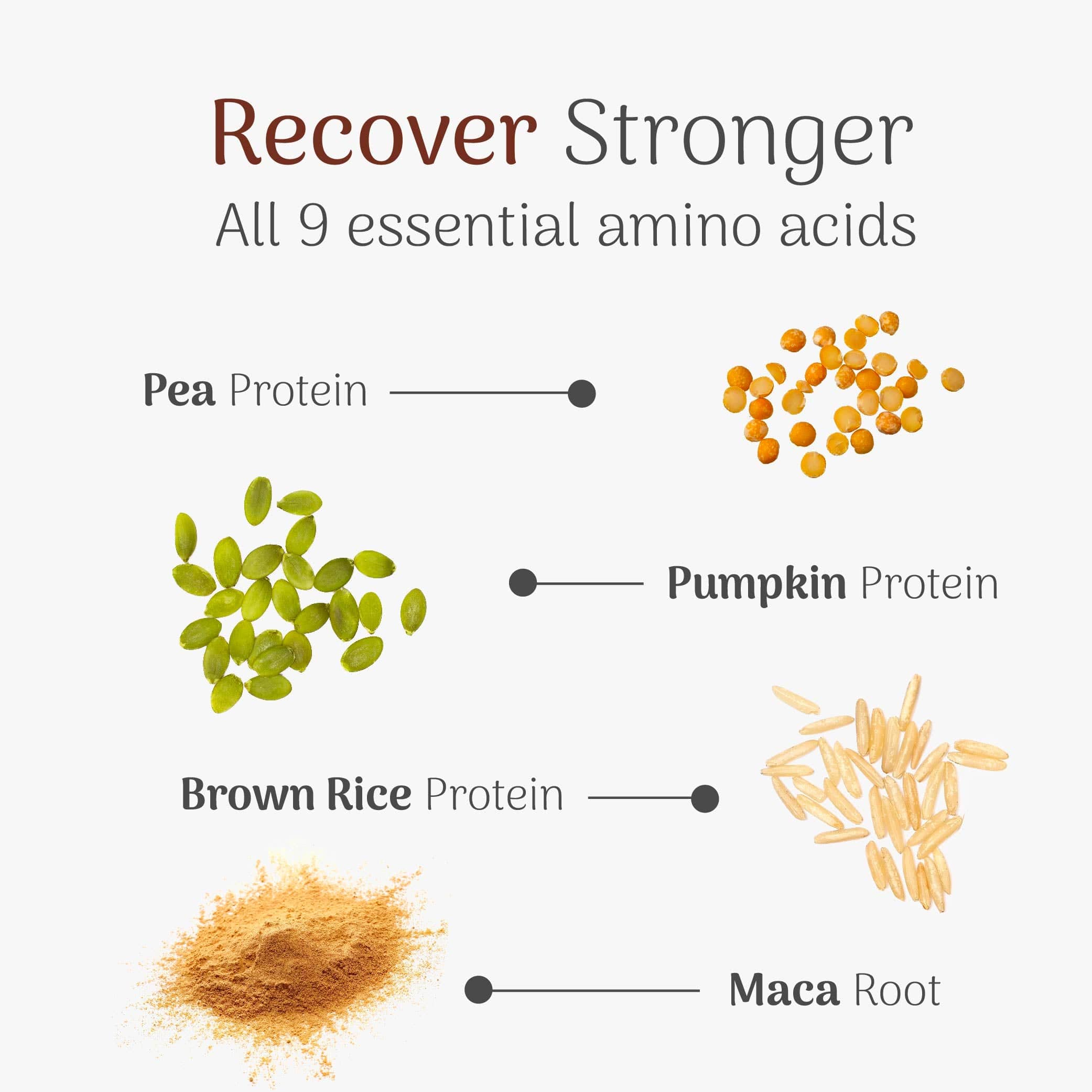 Veloforte Recovery Protein Powders Nova Recovery Protein Powder