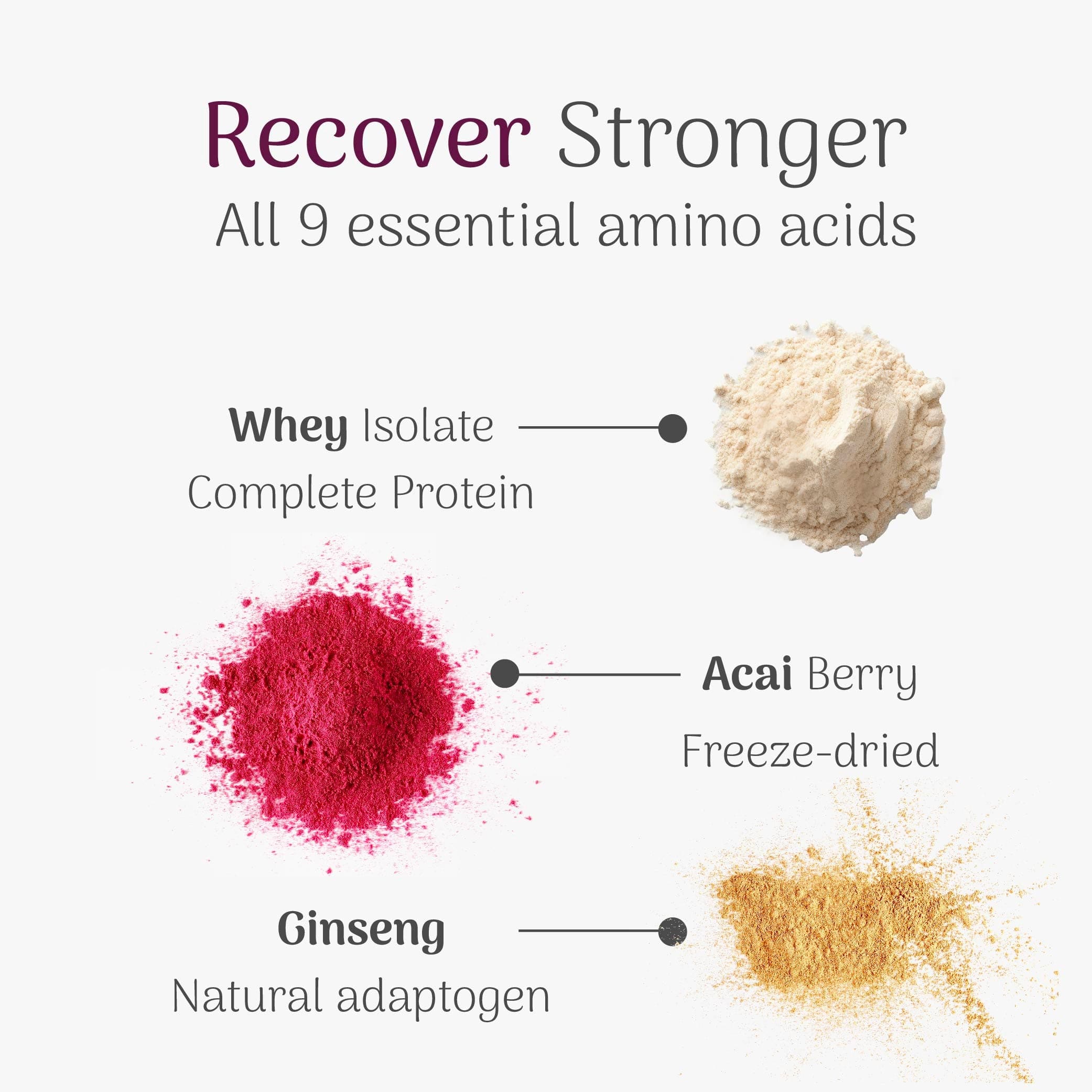 Veloforte Recovery Protein Powders Vita Recovery Protein Powder