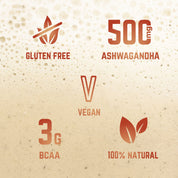 Veloforte Molto Protein Super-Shake